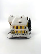 Victorian Homestead - rear view