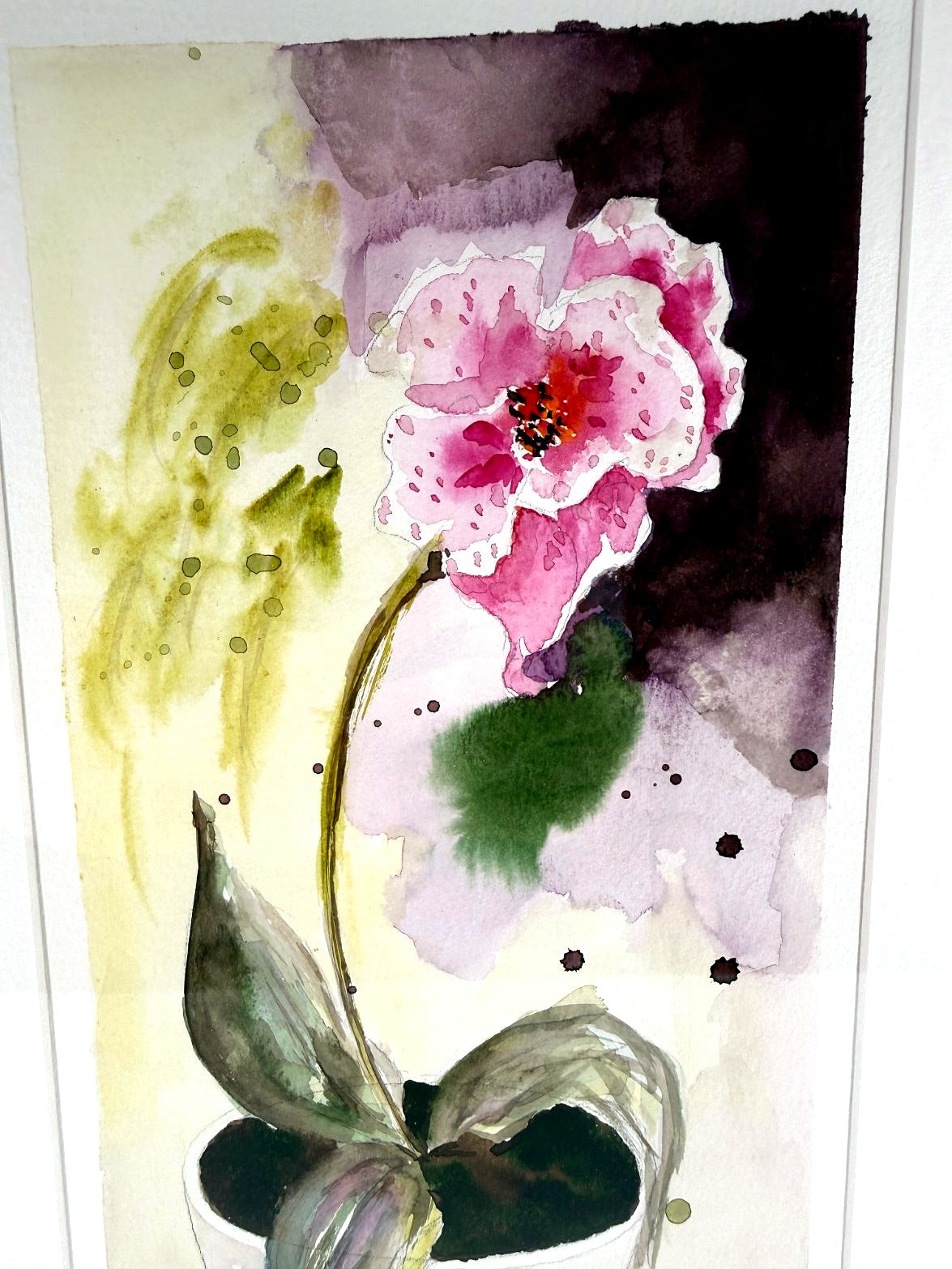 Pink flowering plant - bloom detail