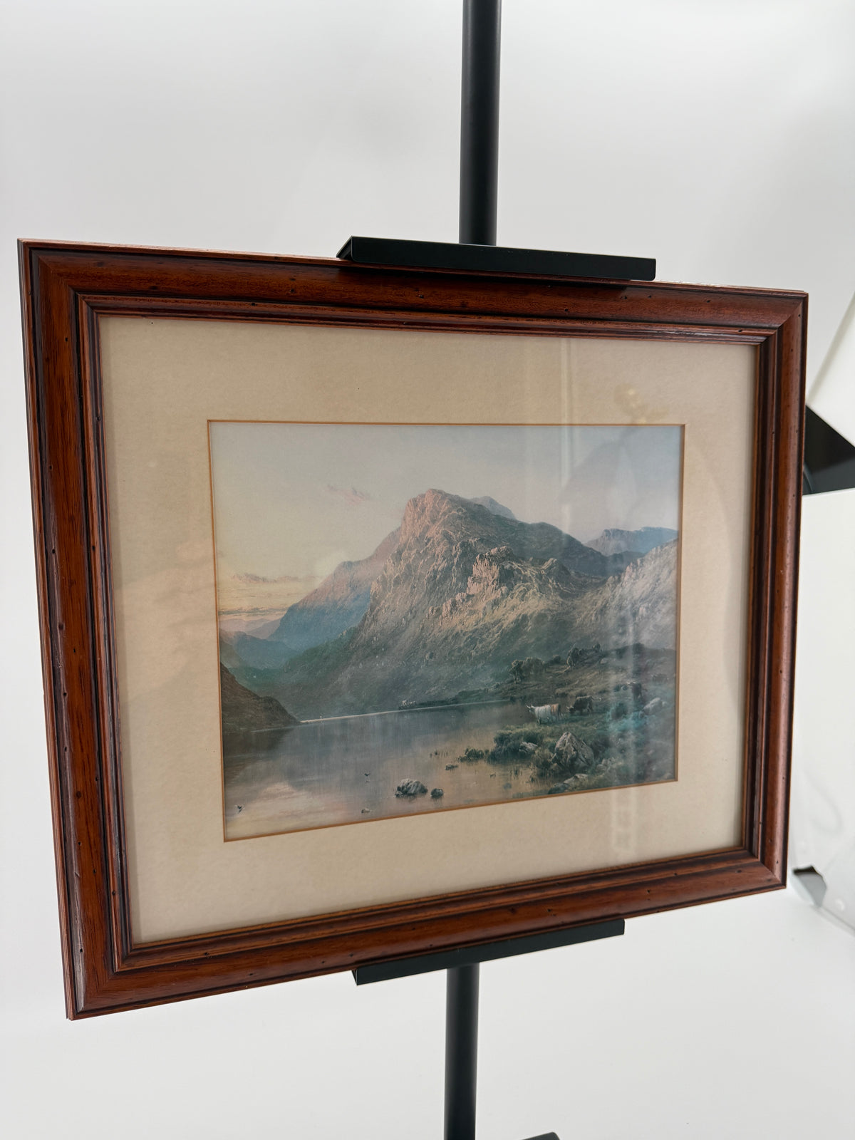 Vintage Framed Mountain Lake Landscape Print with Grazing Cattle