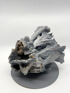 Large natural blue coral specimen, back view, low angle (enhanced)