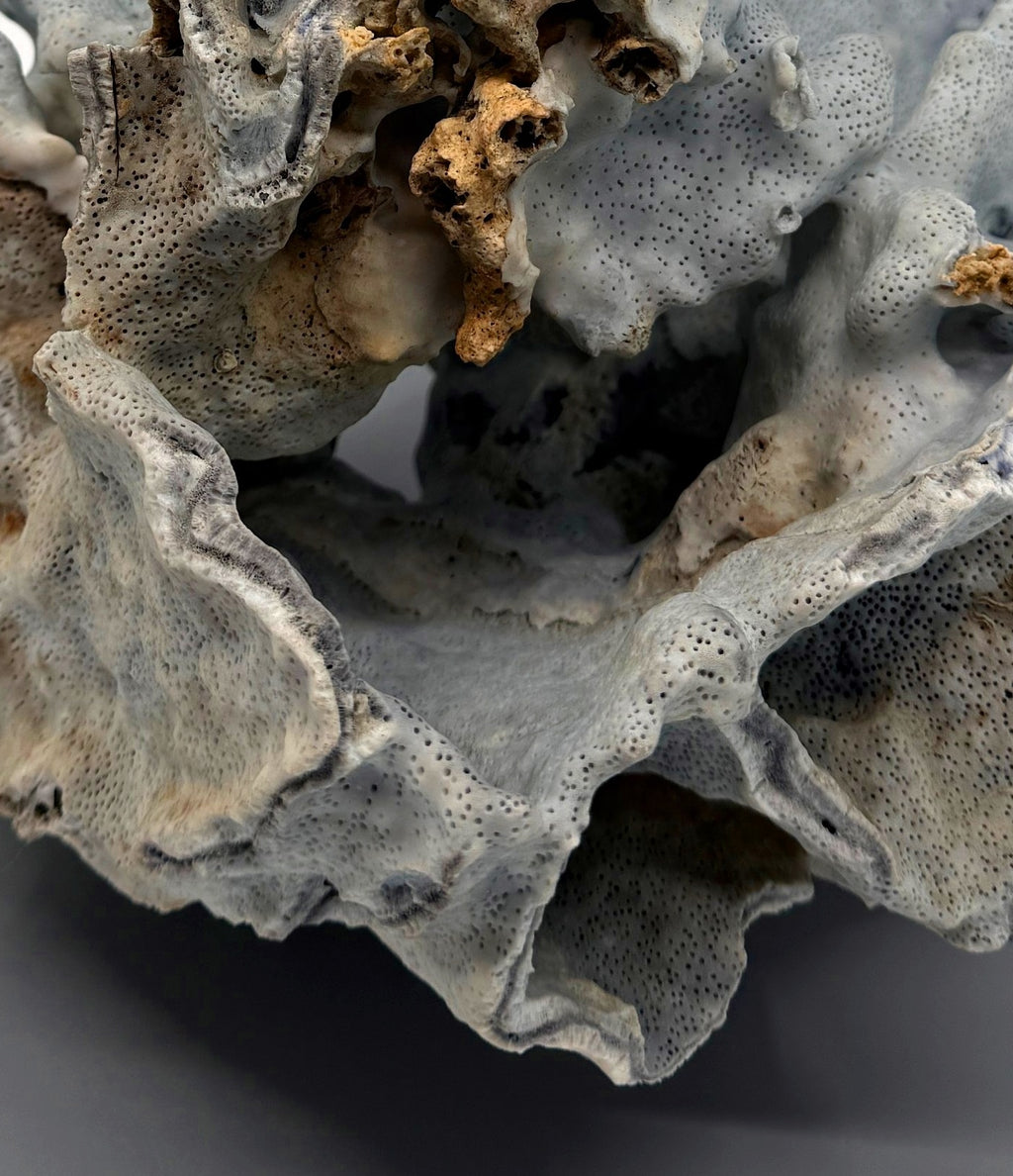 Detail: natural base and matrix (detail from seller photo)