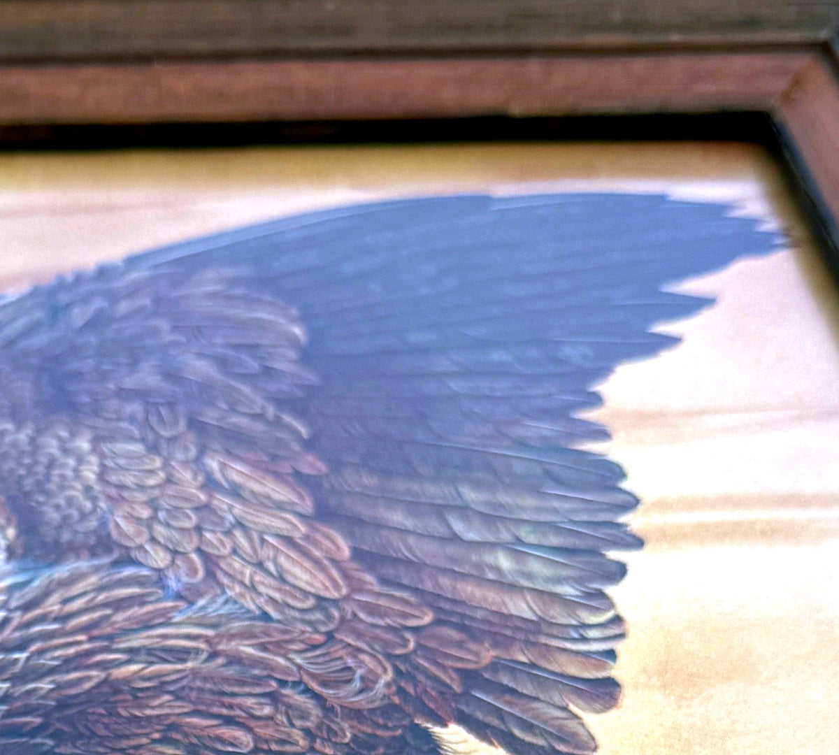 Close-up detail crop — the layered brown flight feathers and coverts of the eagle's raised wing