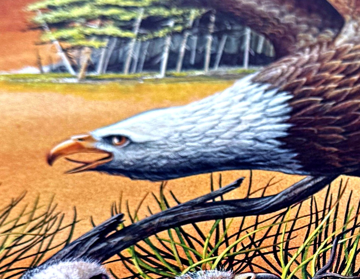 Close-up detail crop — the adult bald eagle's white head, amber eye and hooked yellow beak