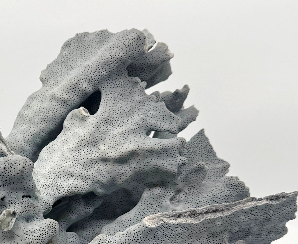 Detail: ruffled plate surface with fine pitted texture (detail from seller photo)