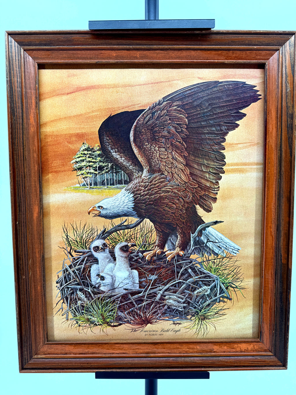 Robert Nipp The American Bald Eagle 1975 Bicentennial framed art — front view on a display stand