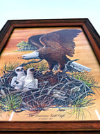 Robert Nipp The American Bald Eagle 1975 Bicentennial framed art — close-up at an angle — the eagle standing over the two eaglets in the nest