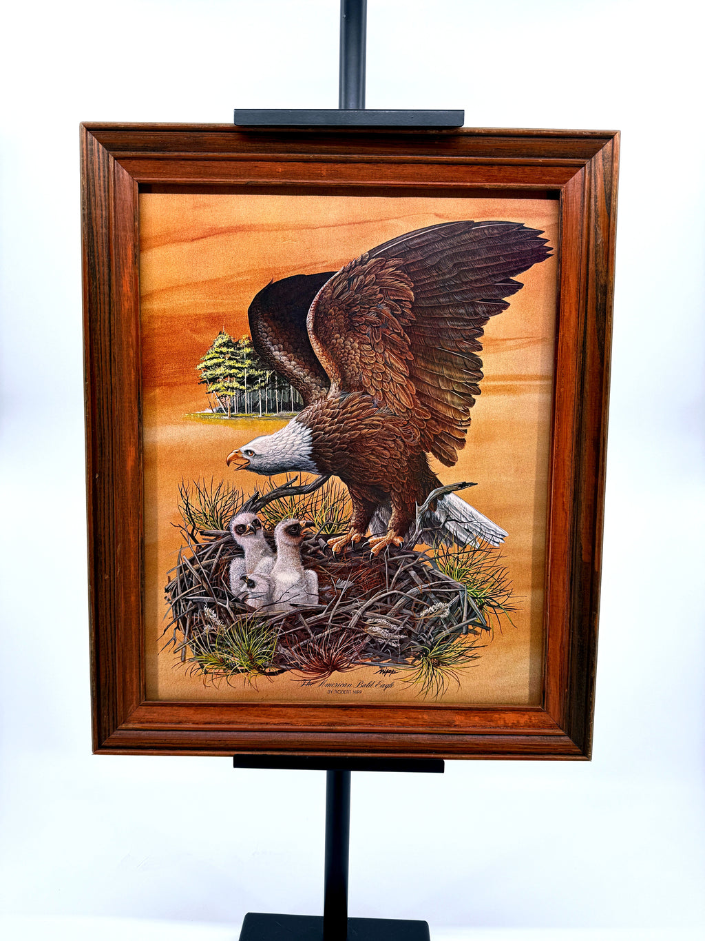 Robert Nipp The American Bald Eagle 1975 Bicentennial framed art — front view on a stand, wider shot