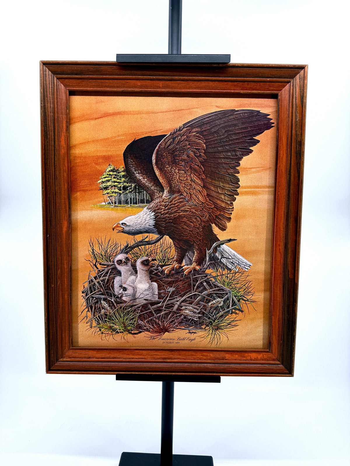 Robert Nipp The American Bald Eagle 1975 Bicentennial framed art — front view on a stand, wider shot