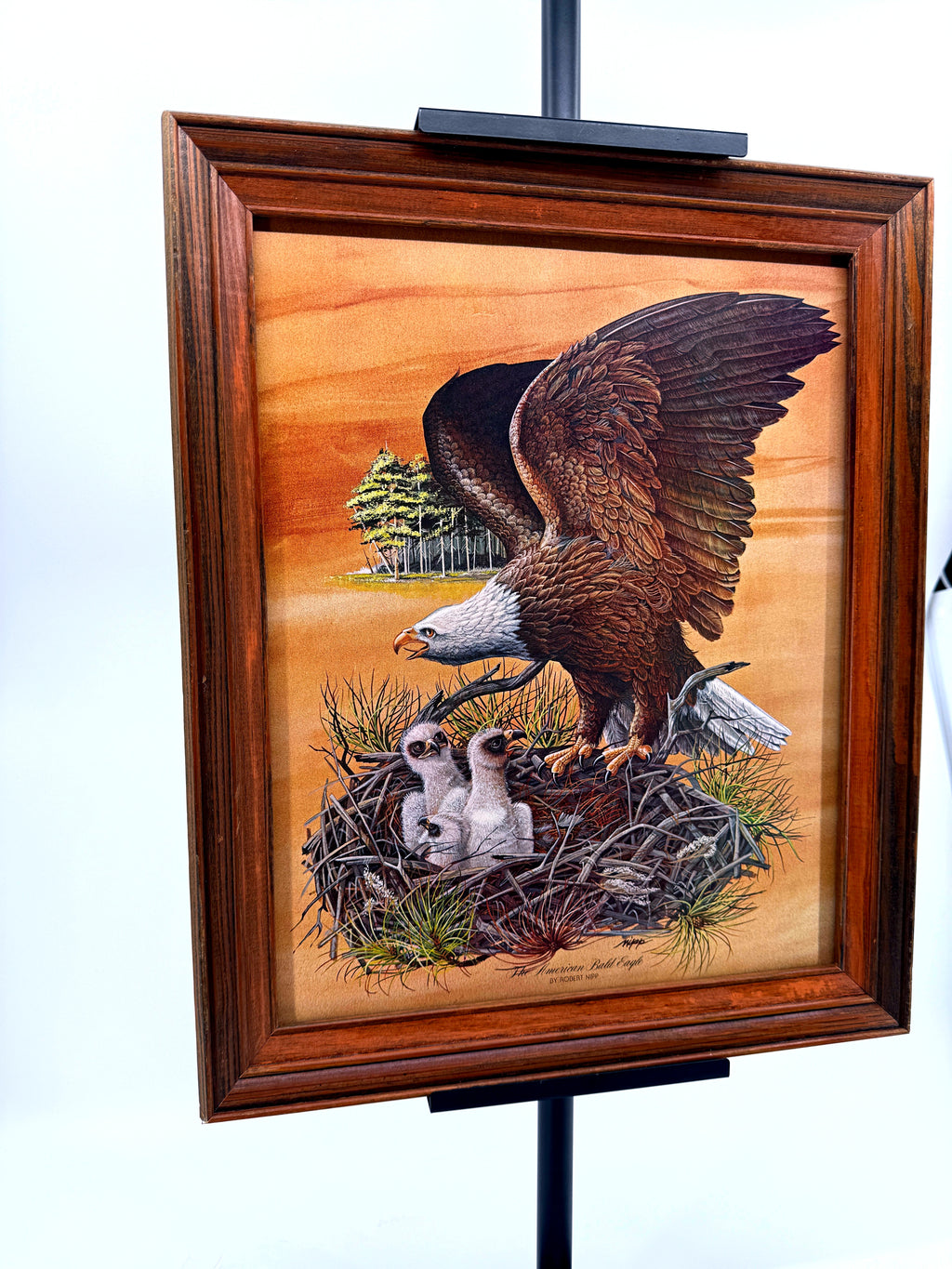 Robert Nipp The American Bald Eagle 1975 Bicentennial framed art — front view from a left angle