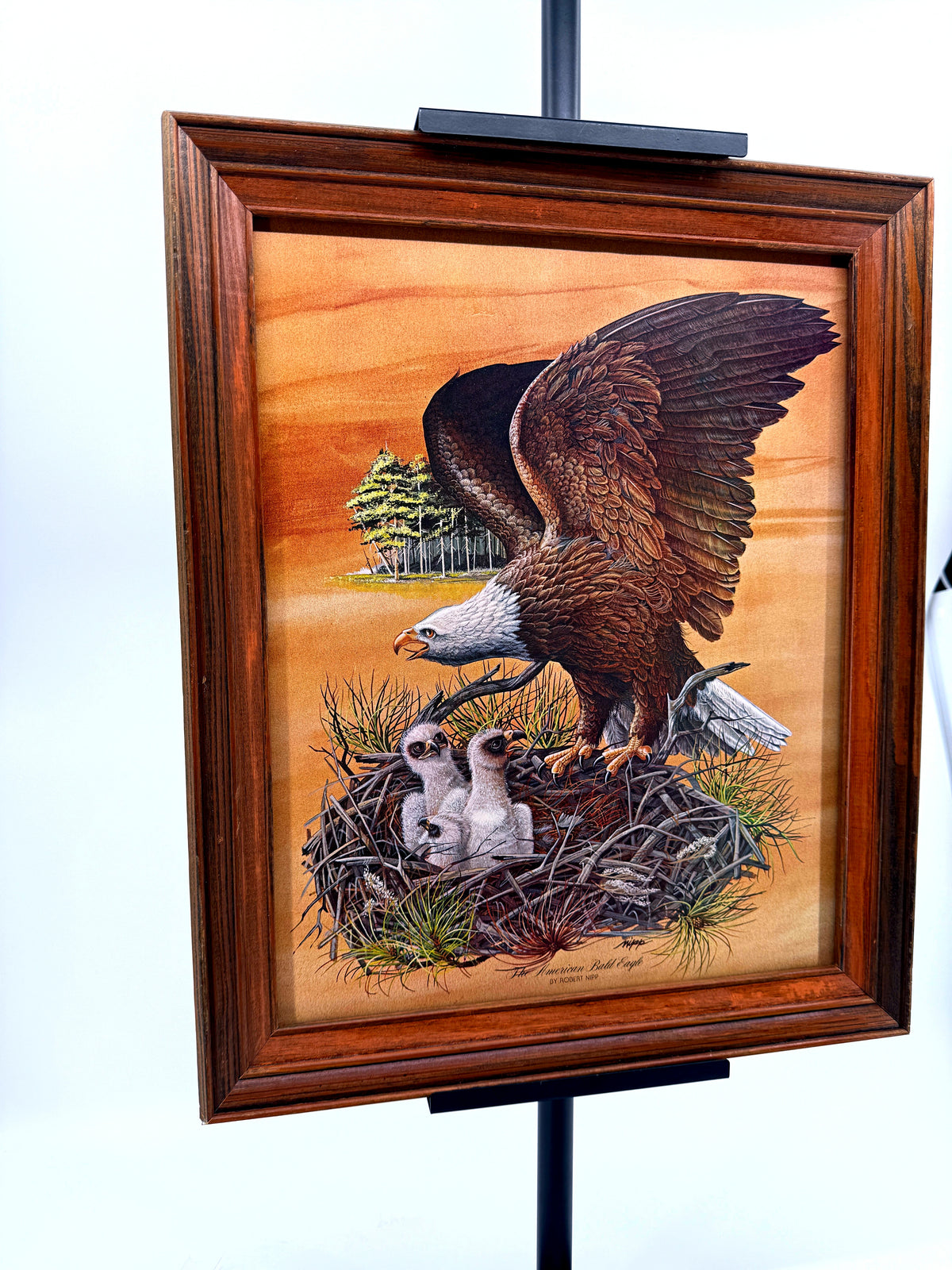 Robert Nipp The American Bald Eagle 1975 Bicentennial framed art — front view from a left angle
