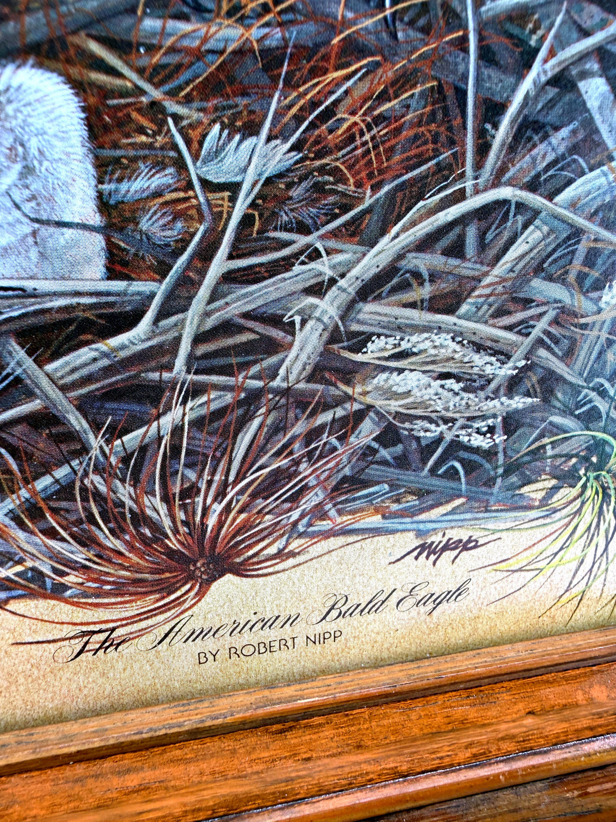 Robert Nipp The American Bald Eagle 1975 Bicentennial framed art — close-up of the nest and the printed title and artist credit — 'The American Bald Eagle by Robert Nipp'