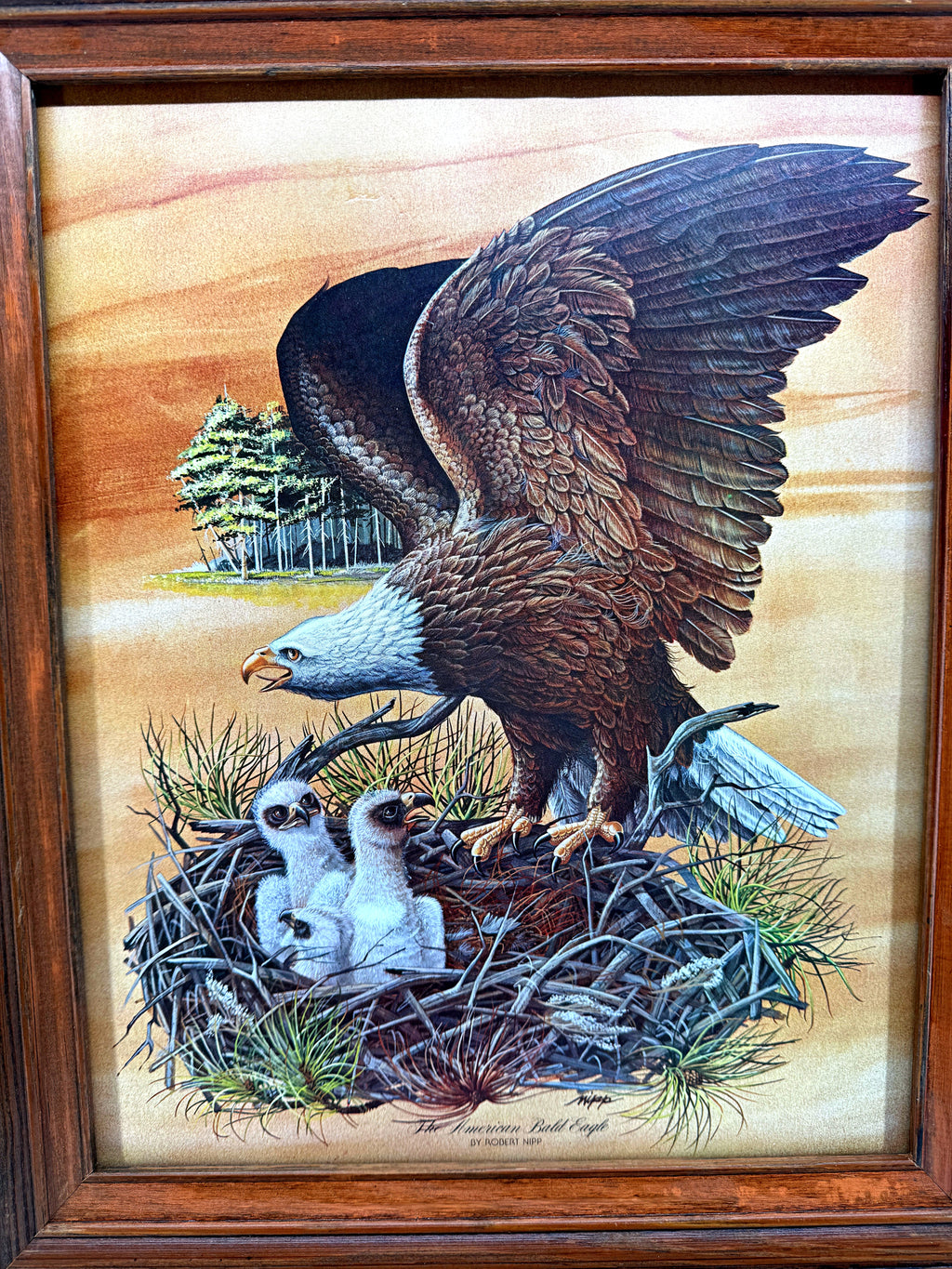 Robert Nipp The American Bald Eagle 1975 Bicentennial framed art — front view, close crop without the stand top
