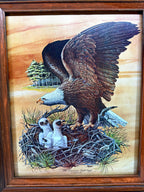 Robert Nipp The American Bald Eagle 1975 Bicentennial framed art — front view, close crop without the stand top