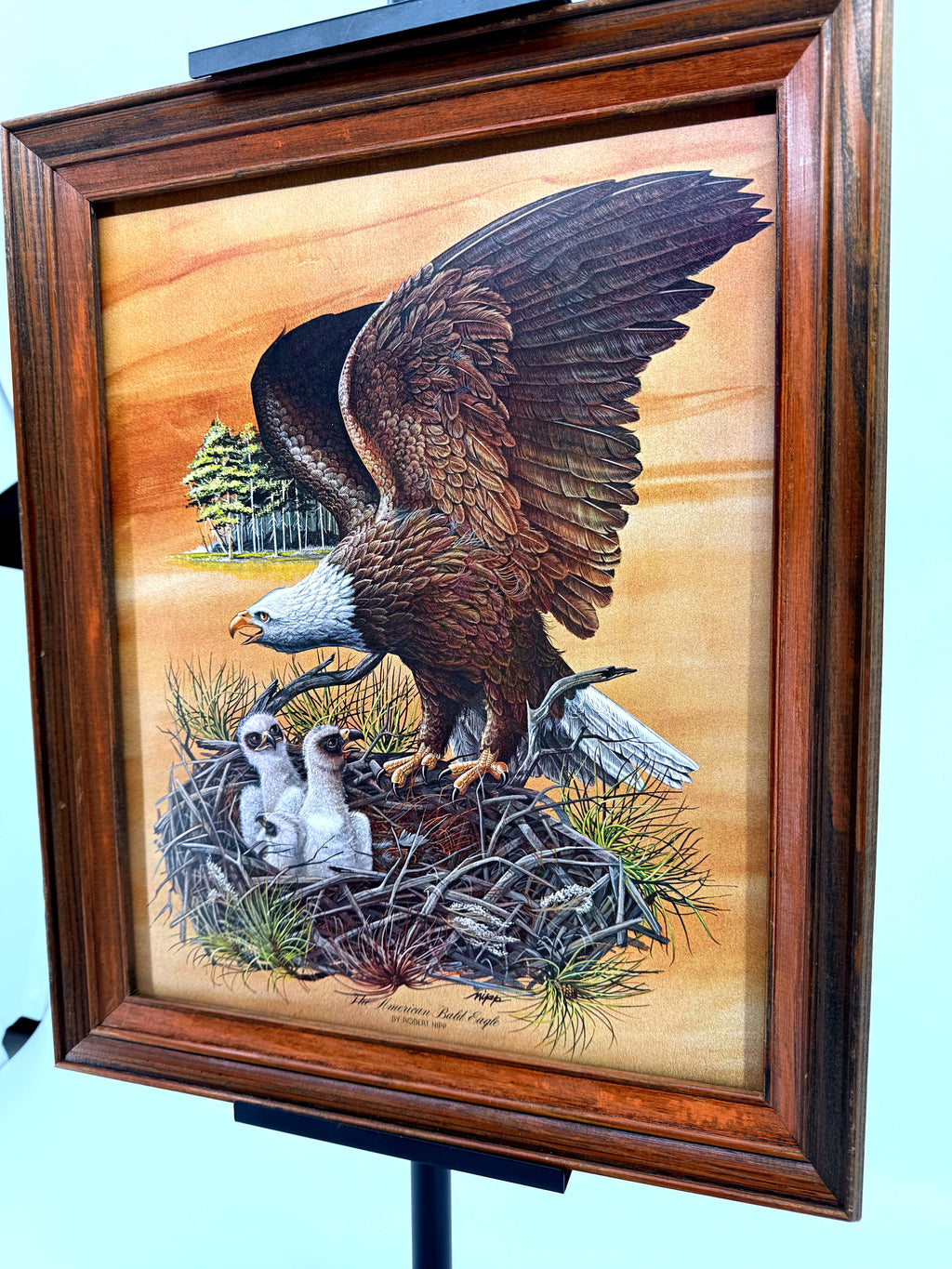 Robert Nipp The American Bald Eagle 1975 Bicentennial framed art — front view from a right angle