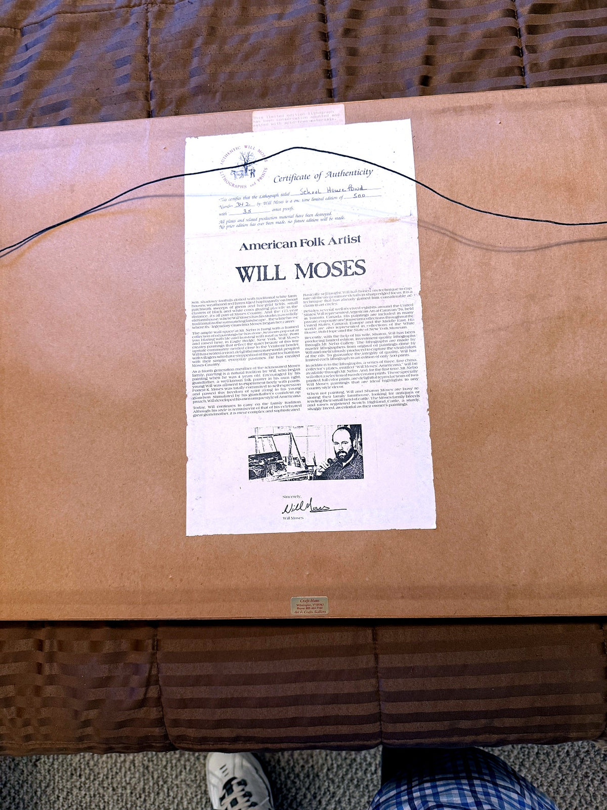 Reverse — full back of the frame with the artist's Certificate of Authenticity and biography sheet attached, hanging wire, and the Craft-Haus gallery sticker at the lower edge