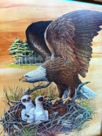 Robert Nipp The American Bald Eagle 1975 Bicentennial framed art — full front view on the stand
