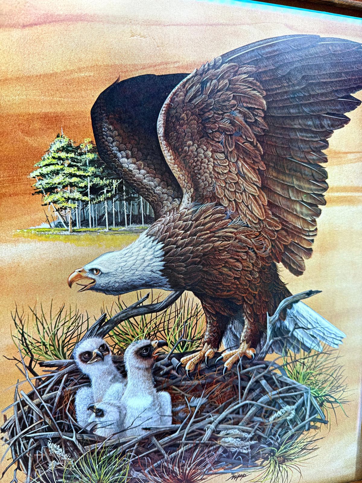 Robert Nipp The American Bald Eagle 1975 Bicentennial framed art — full front view on the stand
