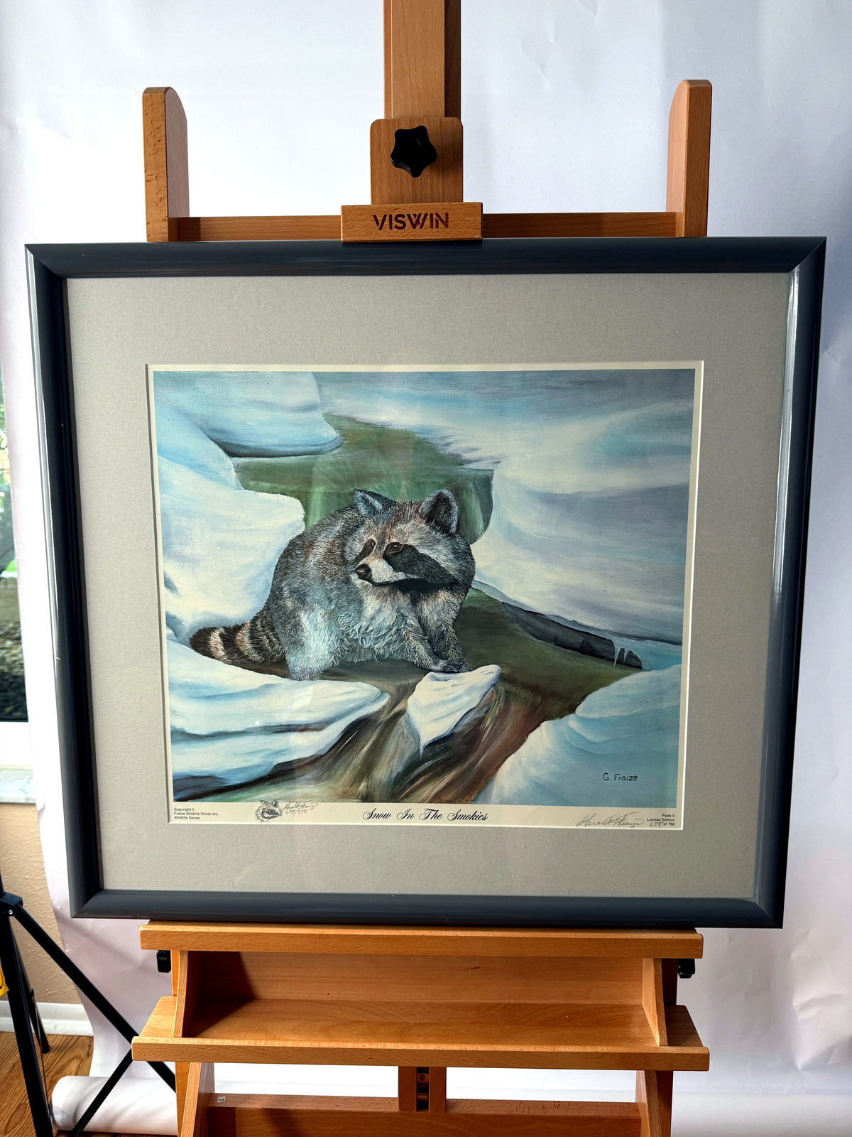 Gerald Fraize Snow In The Smokies signed and numbered print, 698 of 750 — front view on an easel — a raccoon resting on snow-covered rocks
