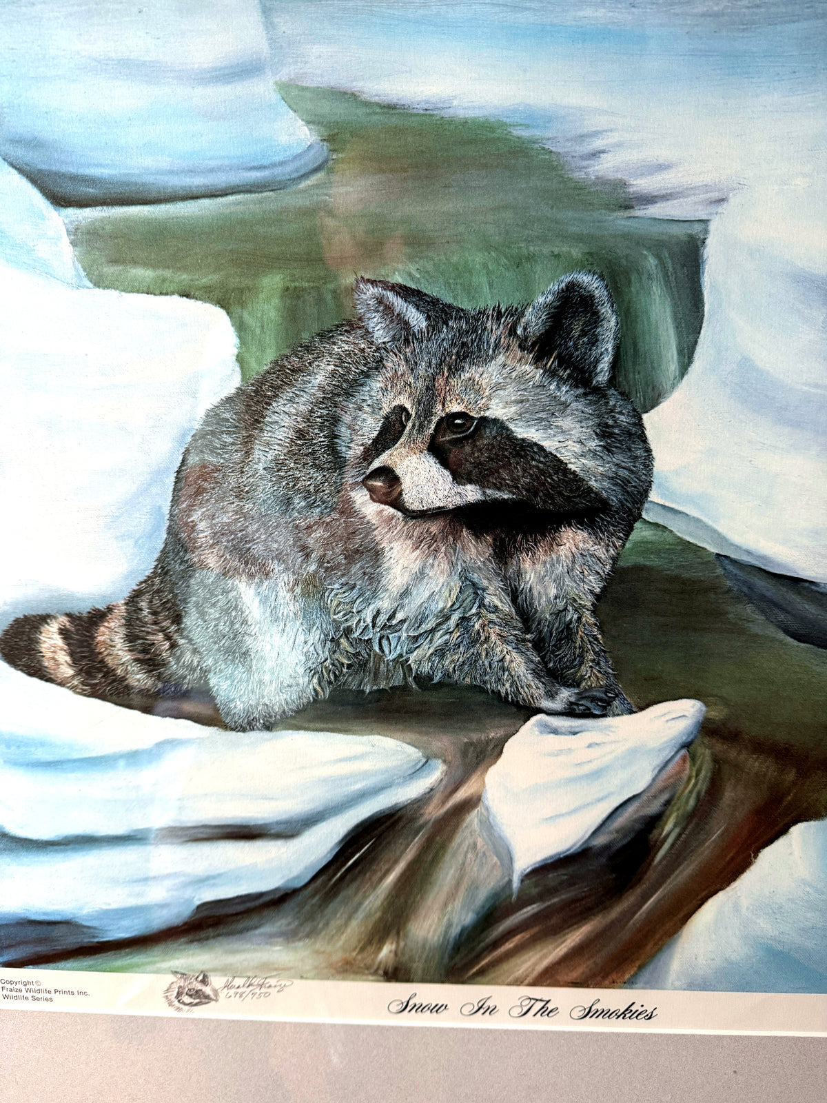 Gerald Fraize Snow In The Smokies signed and numbered print, 698 of 750 — close-up of the raccoon in the snow with the title margin below