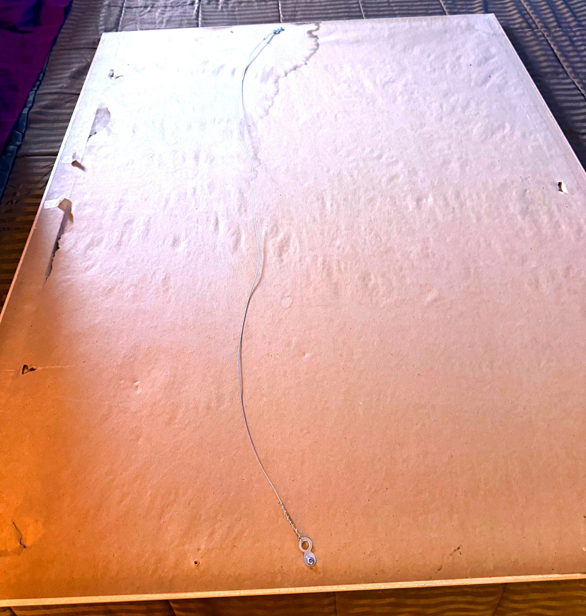 Reverse of the frame — older paper dust backing with age-related tears and discoloration; hanging wire fitted