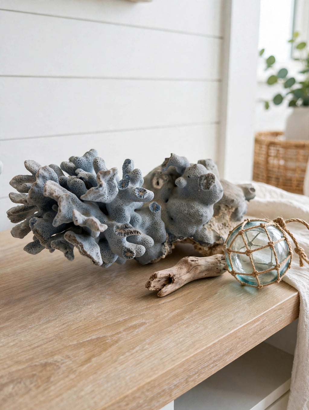 Natural blue-gray branching coral specimen on a coastal console table with driftwood and a glass float (styled display inspiration)