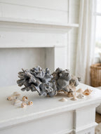 Natural blue-gray branching coral specimen on a beach-house mantel with seashells (styled display inspiration)