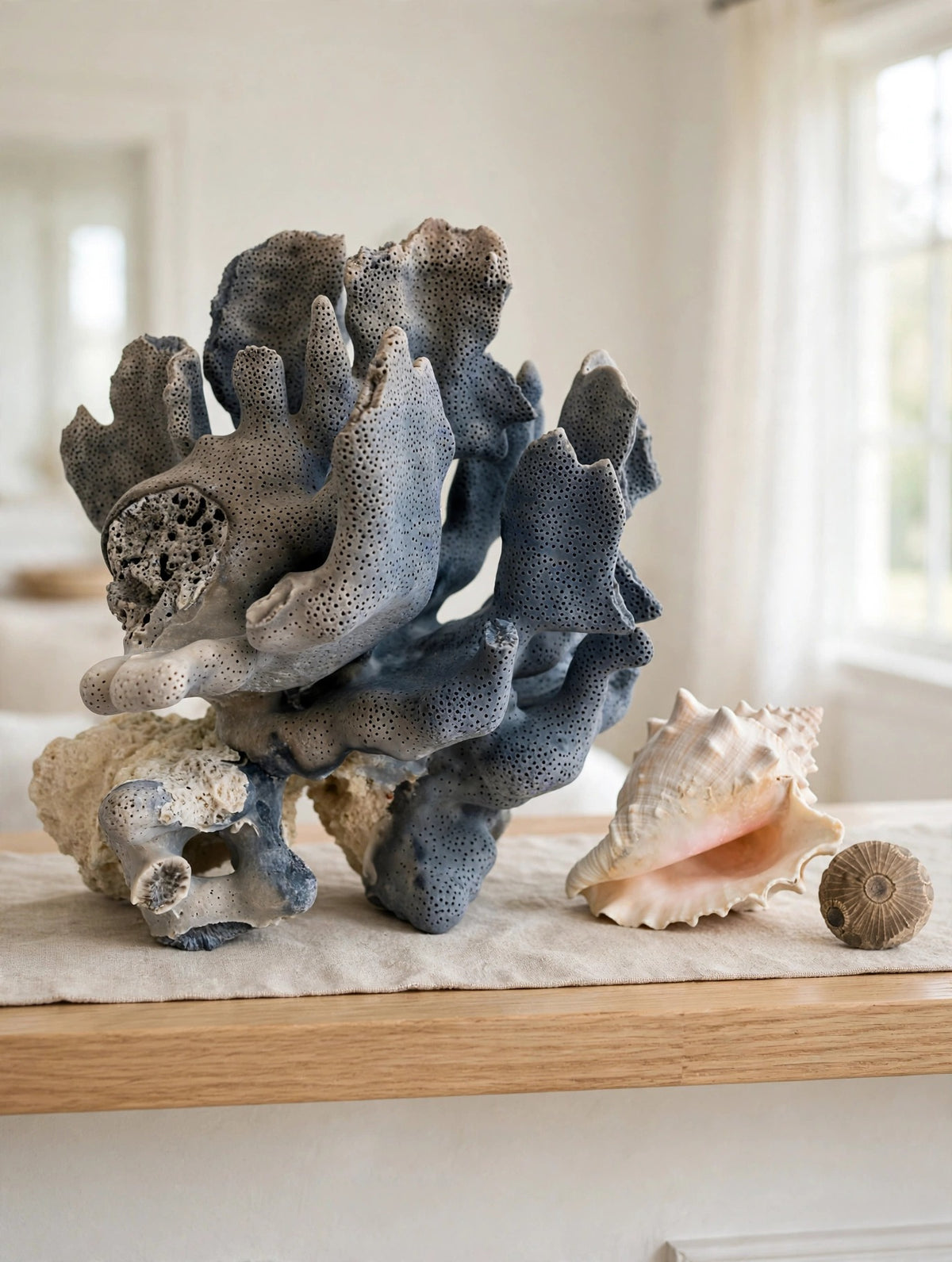 Styled lifestyle photo — the blue coral specimen on a light oak display shelf beside a seashell and fossil in a bright room (display inspiration)
