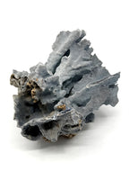 Large natural blue coral specimen, studio view — styled display inspiration